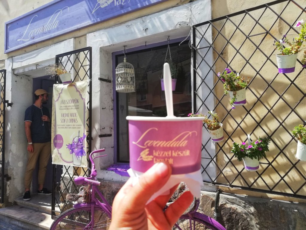 Szentendre, lody Lavendula