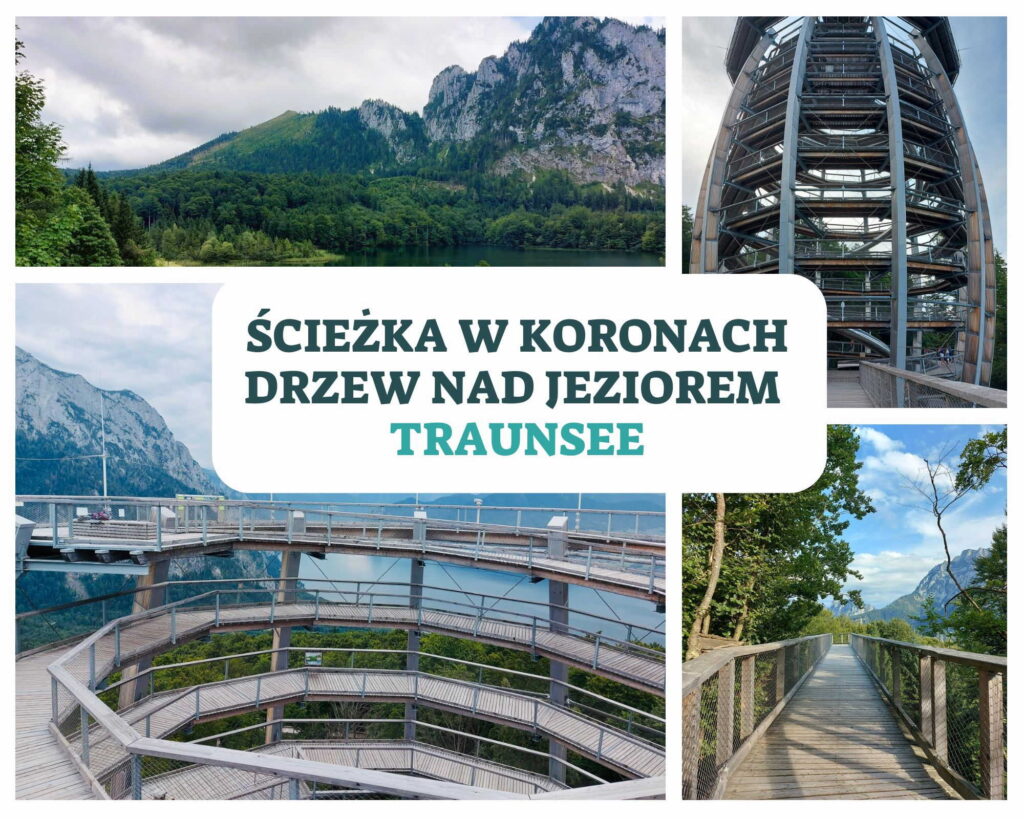 Ścieżka w koronach drzew nad jeziorem Traunsee